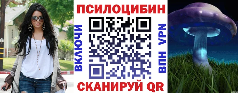 Галлюциногенные грибы Psilocybe  Славгород 