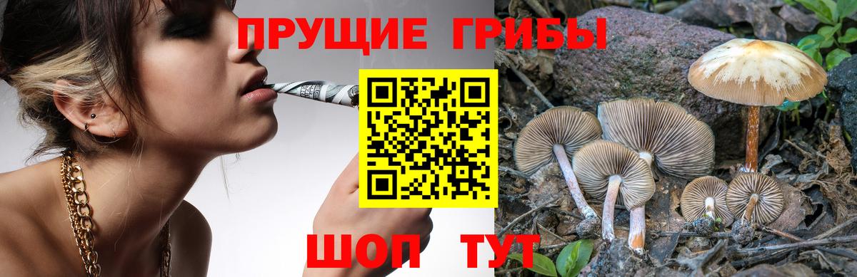 Галлюциногенные грибы GOLDEN TEACHER  Вход с VPN  Славгород  Псилоцибиновые грибы мухоморы 