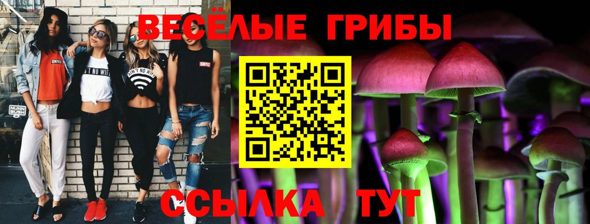 Галлюциногенные грибы Cubensis Славгород